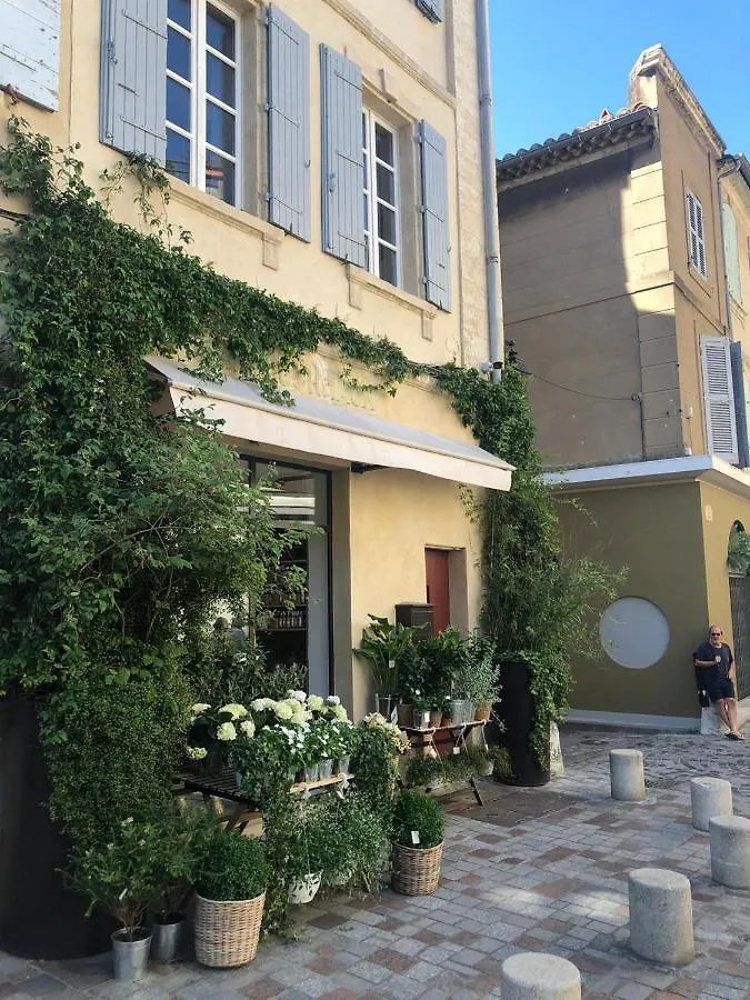 Belle Maison Historique Arles